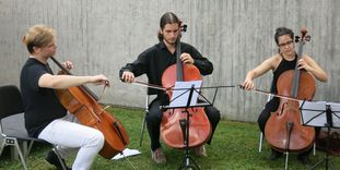 Junge Musiker beim Sommerfest vor der Sammlung Domnick